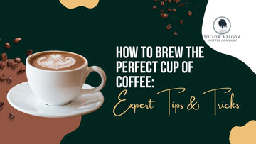 How to Brew the Perfect Cup of Coffee: Expert Tips & Tricks