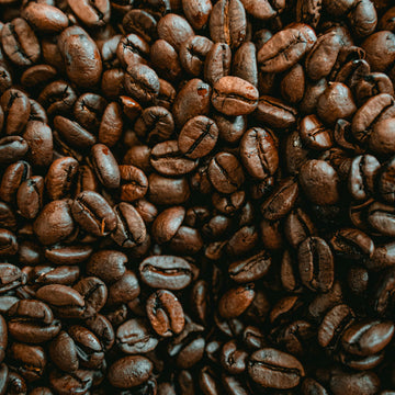 Freshly brewed espresso with a creamy top, perfect from Willow and Bloom Coffee
