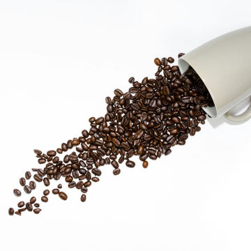 Mocha coffee drink from Willow and Bloom Coffee, blending chocolate and espresso
