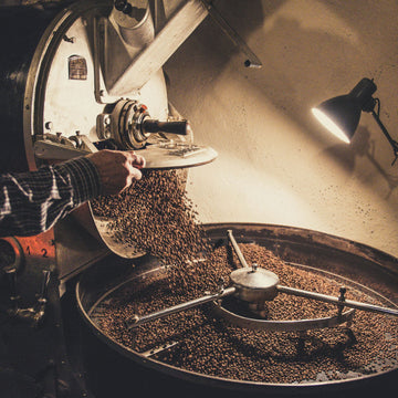 Hazelnut coffee blend brewed fresh from Willow and Bloom Coffee
