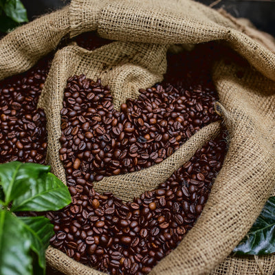 Unique Coffees from Single Regions | Willow & Bloom