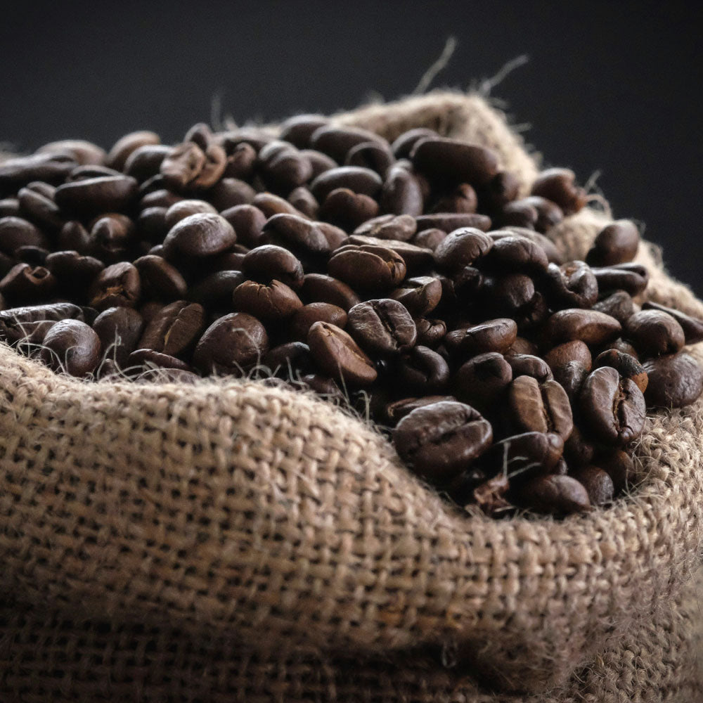 Freshly ground coffee ready to brew from Willow and Bloom Coffee beans